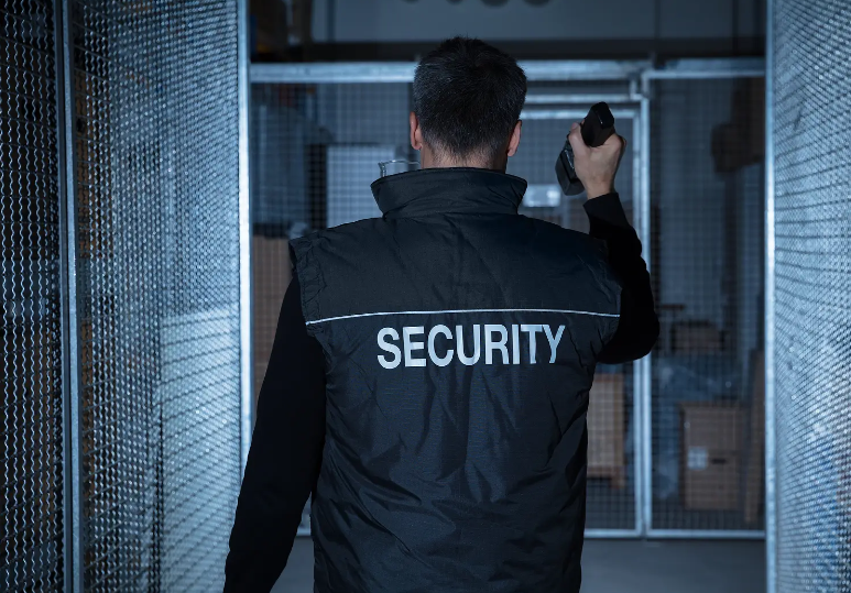 What Is Private Security? A Comprehensive Guide